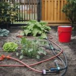 les astuces pour installer un arrosage goutte-à-goutte dans un petit jardin