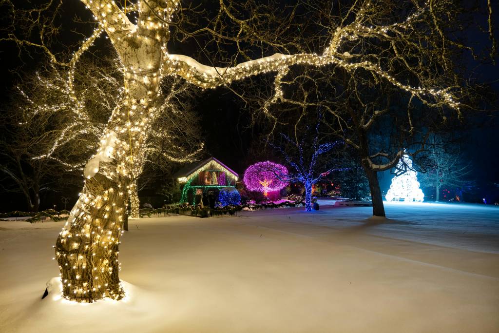 Créer une ambiance magique dans votre jardin grâce aux luminaires extérieurs